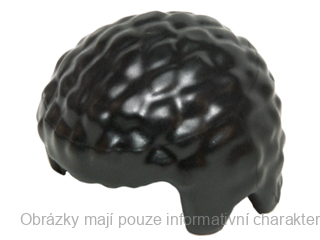 21778 Black Hair Male with Coiled Texture